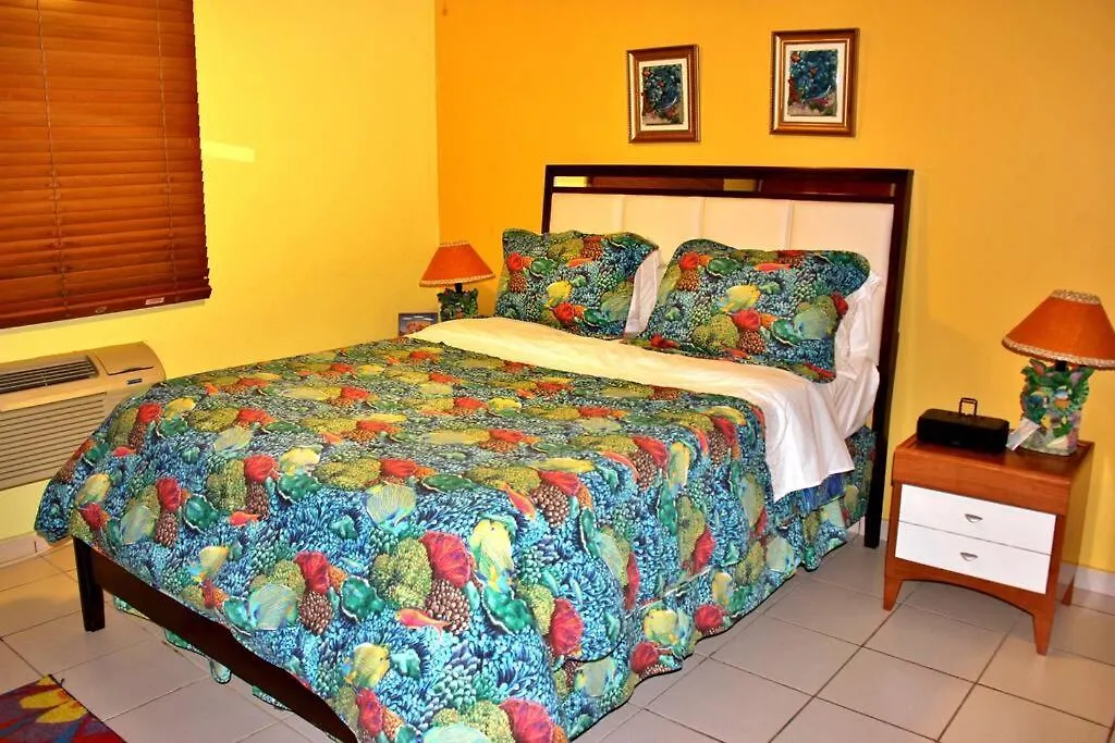 Summer All Year! Oceanfront With Pool A/C Агуадилья Апартаменты