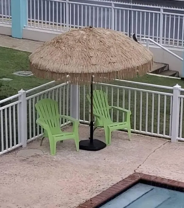 Summer All Year! Oceanfront With Pool A/C Агуадилья Апартаменты