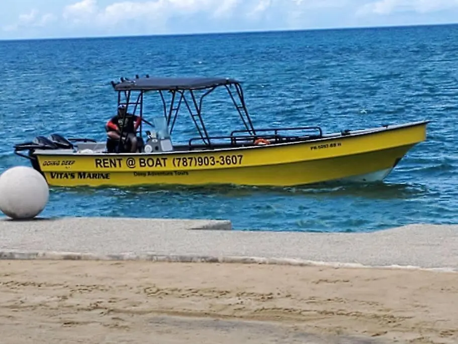 Apartman Summer All Year! Oceanfront With Pool A/C Aguadilla