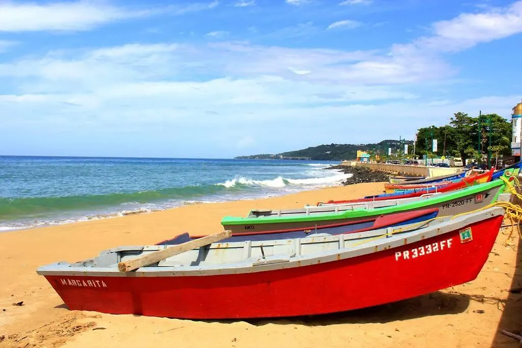 Summer All Year! Oceanfront With Pool A/C Aguadilla